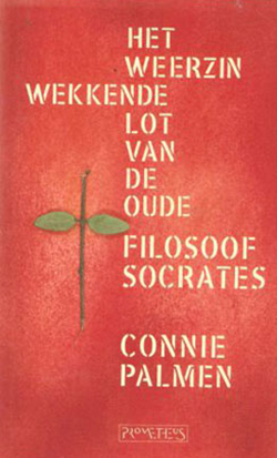 Connie-Palmen-Het-weerzinwekkende-lot-van-de-oude-21950547